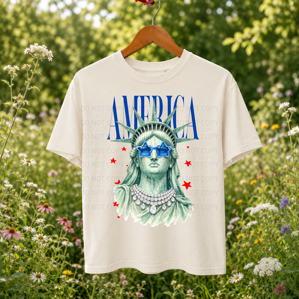 AMERICA Tee| Comfort Colors Boxy | 3023CL