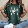 N Panthers | Bella Canvas | 3001