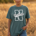 N Panthers | Comfort Colors | 1717